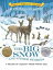 šThe Big Snow and Other Stories: A Treasury of Caldecott Award-Winning Tales (Dover Children's Classi