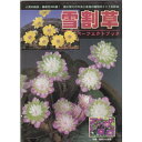 【中古】雪割草パーフェクトブック (別冊趣味の山野草)