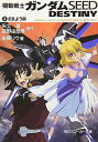 【中古】機動戦士ガンダムSEED DESTINY (2) さまよう眸 (角川スニーカー文庫)