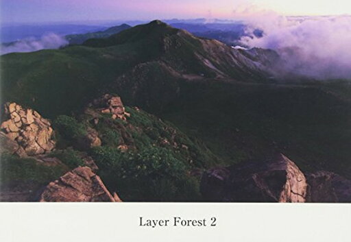 【中古】Layer Forest 2 【中古】Layer Forest 2