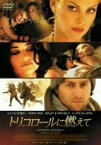 【中古】トリコロールに燃えて スペシャル・エディション [DVD]