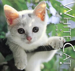 【中古】White Cat—子猫の小さな冒険