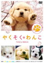 【中古】やくそくわんこ [DVD]