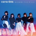 【中古】BLUE BLUES / リンカーネーション