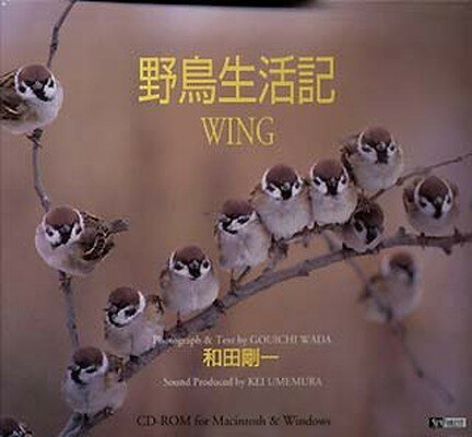 【中古】野鳥生活記 Wing