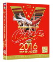 yÁzCARP2016M̋L^ V7LOʔ ~ςė܂̗D킵~ [Blu-ray]