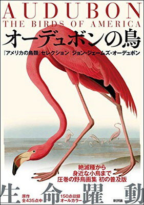 【中古】オーデュボンの鳥: 『アメリカの鳥類』セレクション