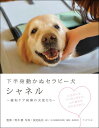 【中古】下半身動かぬセラピー犬 シャネル ~緩和ケア病棟の天使たち~