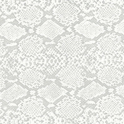 šBLANKEY JET CITY 1991-1995