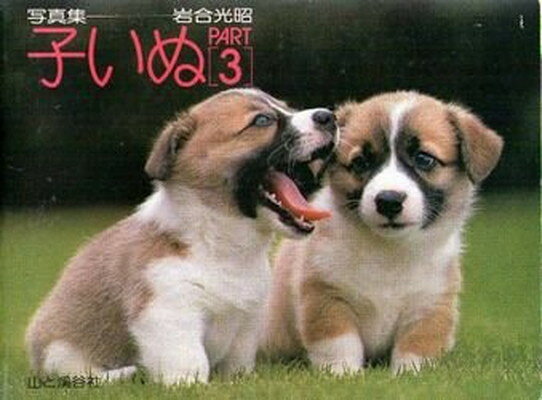 【中古】子いぬ part 3—写真集