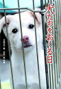 【中古】犬たちをおくる日: この命、灰になるために生まれてきたんじゃない (ノンフィクション知られざる世界)