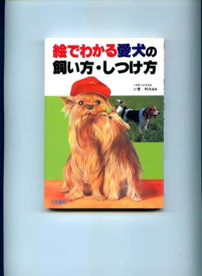 【中古】絵でわかる愛犬の飼い方・