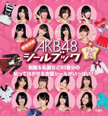 【中古】AKB48きせかえシールブック チームA