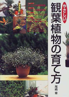 【中古】やさしい観葉植物の育て方