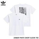 【4/24 20時～P5倍お買い物マラソン】Tシャツ トップス アディダス オリジナルス adidas Skateboarding ZANDER PHOTO SHORT SLEEVE TEE GR8738 メンズ レディース