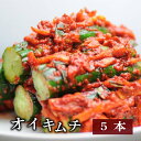 【野菜キムチ】オイキムチ(キュウリのキムチ) 1/2本サイズ5本(500g)【RCP】 10P04Aug13