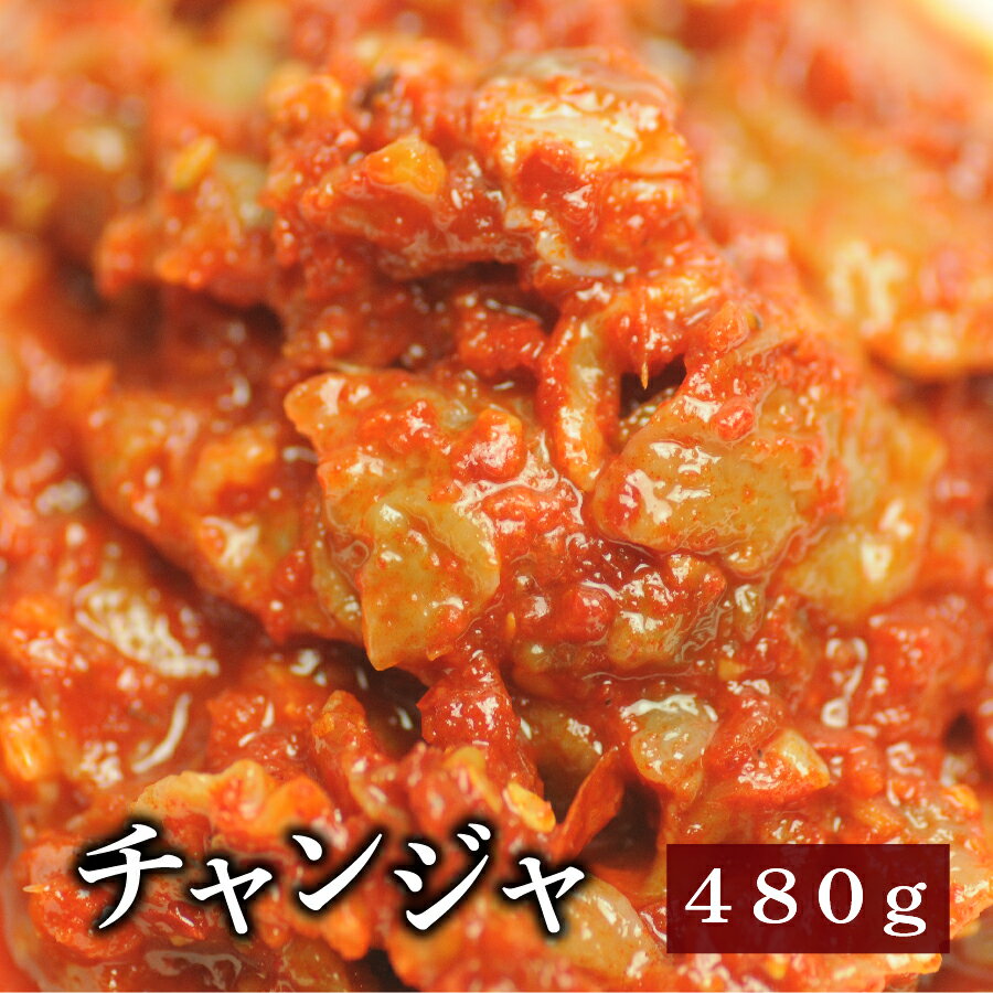 チャンジャ 480g(60gx8パック) 海鮮キムチ 【お得用】【一部地域送料無料】