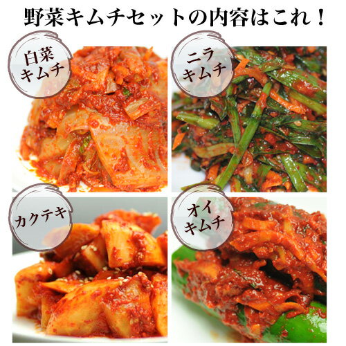 送料無料！初回購入のみ限定販売・おつまみキムチ4種盛り・お試しＢセット（おつまみキムチ）【TV魔女たちの22時で、放映されたあのイカキムチ】【smtb-TD】【yokohama】