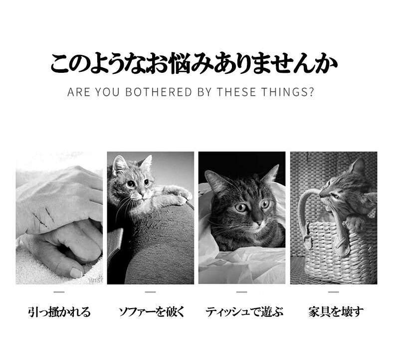 ǭ �ޤȤ� ������ ��Ƚ ǭ�� �Ĥ�Ȥ��ͥ� �ޤȤ� �ޥå� �Ĥ�Ȥ������� �޸��� ���ȥ쥹��� ���ե��� �� �ȶ��ݸ� �ɻ��ݸ���� �ޤȤ��ɻ� ���ɻ� �ڥå����� ǭ���� �ڥå��� ������� �������� �ݥ��� Ž���դ��ơ����դ� S M L XL