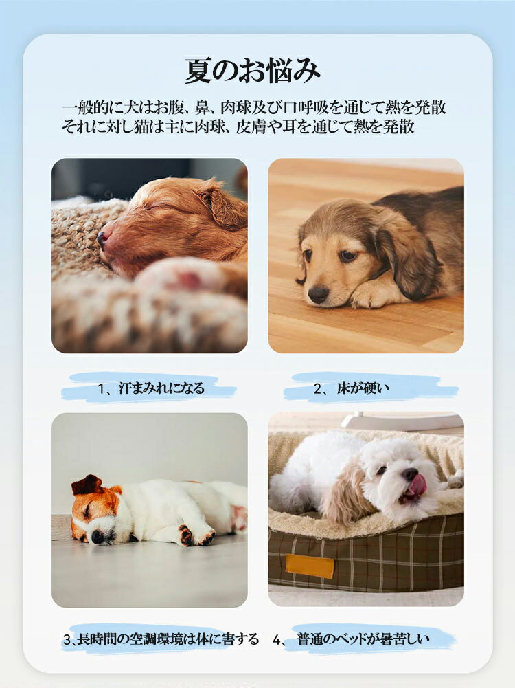 �ڥåȥ٥å� ���� �ղ� ������ �䴶�ޥå� �� �ڥå� �ڥåȥޥå� �䴶�ѥå� ������ޥå� �Ҥ���ޥå� �ô����եȥ�����ޥå� ��ѥޥå� �� ǭ�� ¿���� �� Ǯ��� �ڥå����� �ڥåȥ�����ޥå� ���ߤ� ǭ �Ҹ� ��������Ŭ��