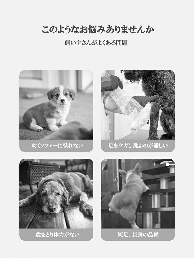 �ɥå����ƥå� ��ǭ�ѳ��� �� ���� �������� �ڥåȥ��ƥå� ������� 2�� 3�� 4�� ���γ��� û­ǭ���� ��겼�ꥯ�å���� �إ�˥� Ƨ���� ���ե��� ������� �ڥå����� ������ ����û­ �ߥ˥��奢���å��� �ס��ɥ�