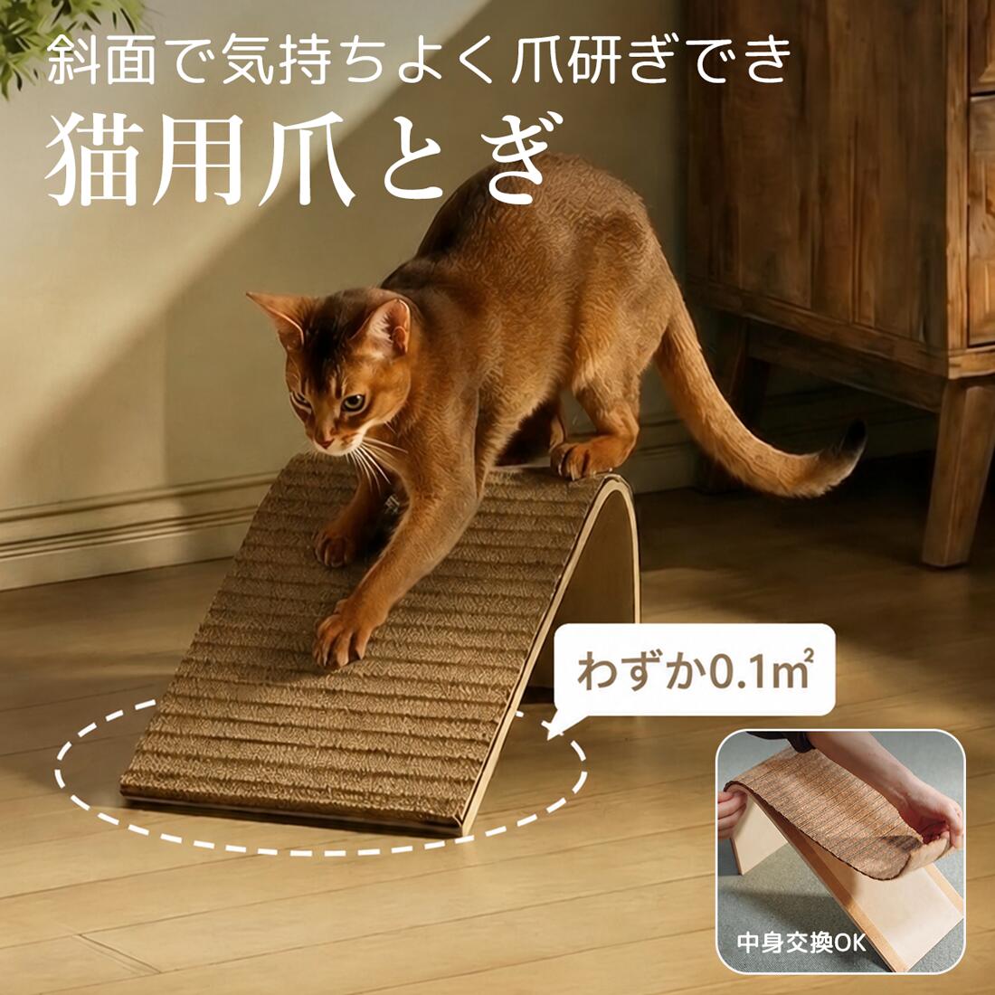 楽天市場】コルクガシの通販