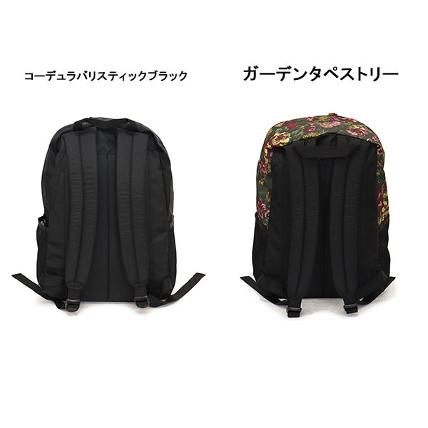 正規取扱店 GREGORY (グレゴリー) カジュアルデイ V2 デイパック リュックサック GY119 全2色