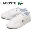 正規取扱店 LACOSTE (ラコステ) SM00021 C