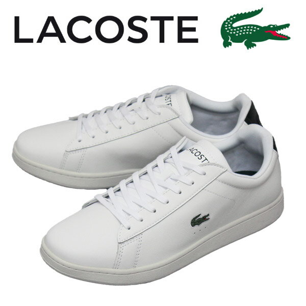 K戵X LACOSTE (RXe) SM00051 CARNABY EVO 0721 1 Y U[Xj[J[ 1R5 WHTxDK GRN LC257