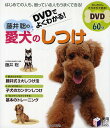 DVDでよくわかる!藤井聡の愛犬のしつけ/藤井聡【3000円以上送料無料】