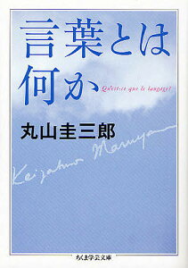 言葉とは何か／丸山圭三郎【3000円以上送料無料】