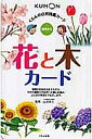 花と木カード 幼児から/子供/絵本【3000円以上送料無料】