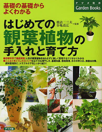 はじめての観葉植物の手入れと育て方 基礎の基礎からよくわかる【3000円以上送料無料】