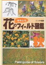 花のおもしろフィールド図鑑 秋/ピッキオ【3000円以上送料無料】