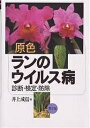 原色ランのウイルス病 診断・検定・防除/井上成信【3000円以上送料無料】