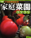 家庭菜園コツのコツ プロの手ほどき 大判/水口文夫【3000円以上送料無料】