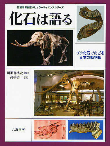 化石は語る ゾウ化石でたどる日本の動物相／高橋啓一【3000円以上送料無料】