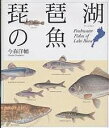 琵琶湖の魚/今森洋輔【3000円以上送料無料】