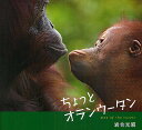 ちょっとオランウータン Man of the Forest/岩合光昭【3000円以上送料無料】
