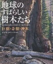 地球のすばらしい樹木たち 巨樹・奇樹・神木/トマス・パケナム/比嘉涼子【3000円以上送料無料】