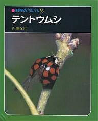 テントウムシ 新装版／佐藤有恒【3000円以上送料無料】