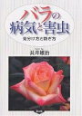 バラの病気と害虫 見分け方と防ぎ方/長井雄治【3000円以上送料無料】