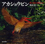 アカショウビン 火の鳥に出会った／嶋田忠／子供／絵本【3000円以上送料無料】