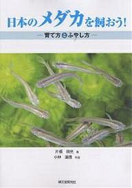 著者片根得光(著) 小林道信(写真)出版社誠文堂新光社発売日2005年07月ISBN9784416705421ページ数79Pキーワードペット にほんのめだかおかおうそだてかたと ニホンノメダカオカオウソダテカタト かたね とくみつ こばやし み カタネ トクミツ コバヤシ ミ9784416705421目次メダカを飼う前に/メダカを飼うときの心得/初めてメダカを選ぶとき/メダカの体の特徴/メダカに適した水/メダカの餌と与え方/飼育用具のいろいろ/飼育容器の設置/メダカの上手な飼い方/四季の管理/メダカの繁殖/ブランド・メダカ/病気を防ぐために/水生植物/巻貝/野生メダカ（黒メダカ）の捕獲/水替えを必要としない飼育法/よくある質問