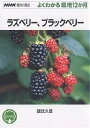 ラズベリー、ブラックベリー/國武久登【3000円以上送料無料】