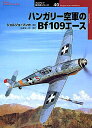 ハンガリー空軍のBf109エース/ジョルジョ・プンカ/柄澤英一郎【3000円以上送料無料】