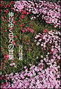 伸びゆく日々の言葉/谷口清超【3000円以上送料無料】