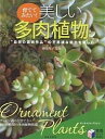 美しい多肉植物 育ててみたい! “自然の芸術作品”の不思議な魅力を楽しむ オーナメント・プランツ【3000円以上送料無料】