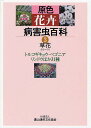 原色花卉病害虫百科 3/農山漁村文化協会【3000円以上送料無料】