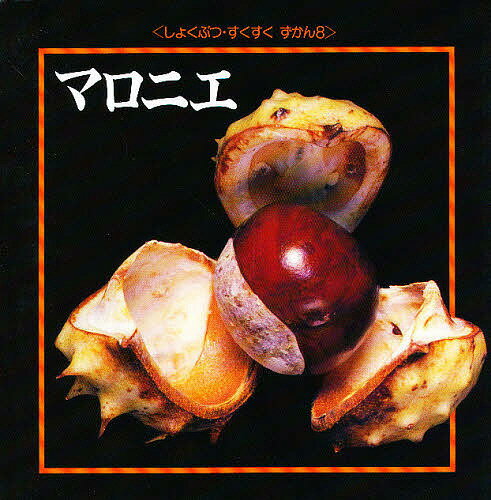 マロニエ／バーリィ・ワッツ／舟木秋子【3000円以上送料無料】